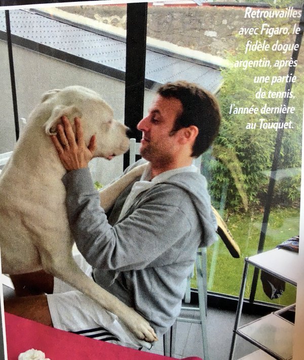 Το ζεύγος Μακρόν υιοθέτησε μόλις έναν σκύλο, με το όνομα Νέμο [εικόνα] | iefimerida.gr 2