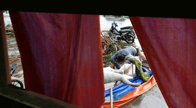 Εικόνες βιβλικής καταστροφής στις Φιλιππίνες -Πάνω από 10.000 νεκροί -Ψάχνουν στα συντρίμμια για μία ελπίδα [εικόνες+βίντεο] | iefimerida.gr 3