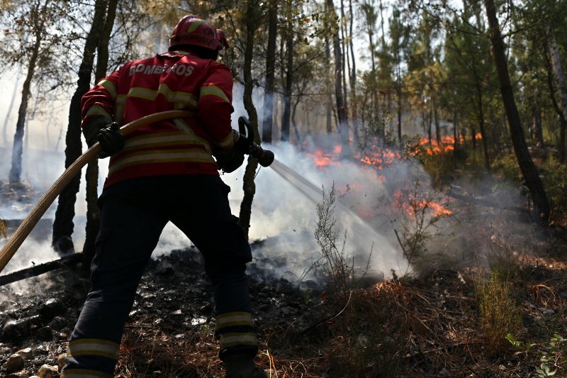 Η Πορτογαλία εκπέμπει SOS στην ΕΕ για να αντιμετωπίσει την πύρινη λαίλαπα [εικόνες & βίντεο]  | iefimerida.gr 0
