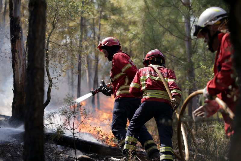 Η Πορτογαλία εκπέμπει SOS στην ΕΕ για να αντιμετωπίσει την πύρινη λαίλαπα [εικόνες & βίντεο]  | iefimerida.gr 2