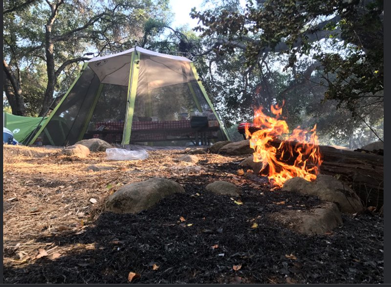 Πύρινη λαίλαπα σε Καλιφόρνια και Καναδά – Χιλιάδες άνθρωποι εγκατέλειψαν τα σπίτια τους [εικόνες & βίντεο]  | iefimerida.gr 3