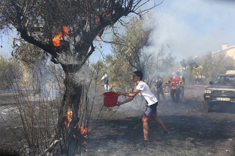 Σε πύρινο κλοιό 2.000 κάτοικοι κωμόπολης στην κεντρική Πορτογαλία [εικόνες & βίντεο]  | iefimerida.gr 0