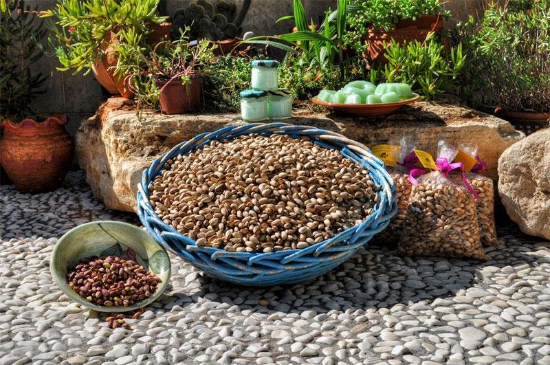 Γιορτή φιστικιού στην Αίγινα -Ενα μοναδικό ραντεβού [εικόνες] | iefimerida.gr 5