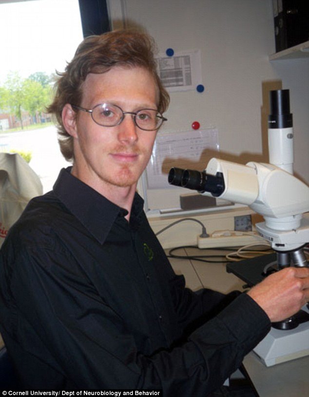 Ιδού ποιο είναι το χειρότερο μέρος στο σώμα να σε τσιμπήσει μια μέλισσα -Το επίπονο πείραμα ενός θαρραλέου ερευνητή [εικόνες] | iefimerida.gr 0