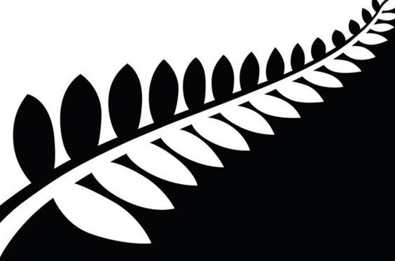 Αυτή τη σημαία διάλεξαν οι Νεοζηλανδοί -Αντικαθιστούν αυτή που έχουν [εικόνες] | iefimerida.gr 4