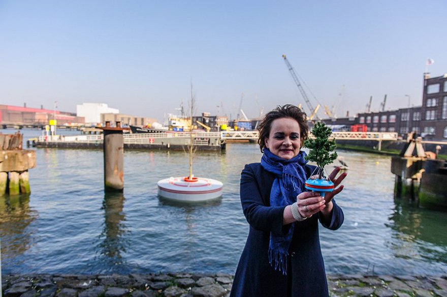 Ενα πλωτό δάσος στο Ρότερνταμ -Δένδρα μέσα στο λιμάνι [εικόνες] | iefimerida.gr 3