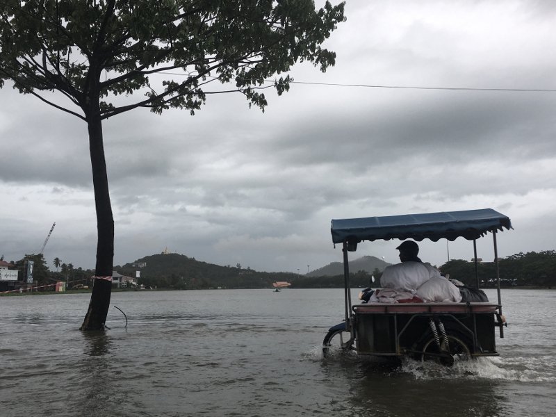 Ταϊλάνδη: Πεινασμένοι κροκόδειλοι κυκλοφορούν στους δρόμους μετά από πλημμύρες [εικόνες]  | iefimerida.gr 2