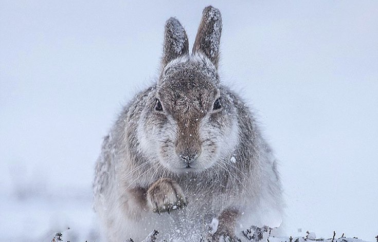 Το φευγαλέο μεγαλείο της Φύσης – Οι φιναλίστ του διαγωνισμού φωτογραφίας [εικόνες]  | iefimerida.gr 2