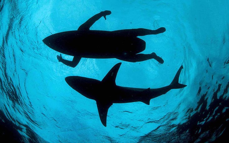 Το φευγαλέο μεγαλείο της Φύσης – Οι φιναλίστ του διαγωνισμού φωτογραφίας [εικόνες]  | iefimerida.gr 5