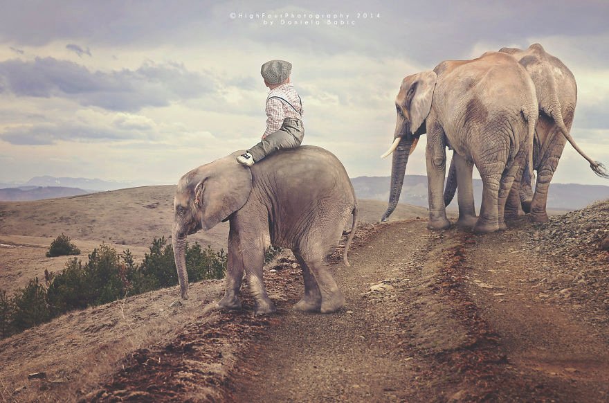 Ενα αγοράκι 10 μηνών «ταξιδεύει» σε όλο τον κόσμο και  φωτογραφίζεται με άγρια ζώα [εικόνες] | iefimerida.gr 5