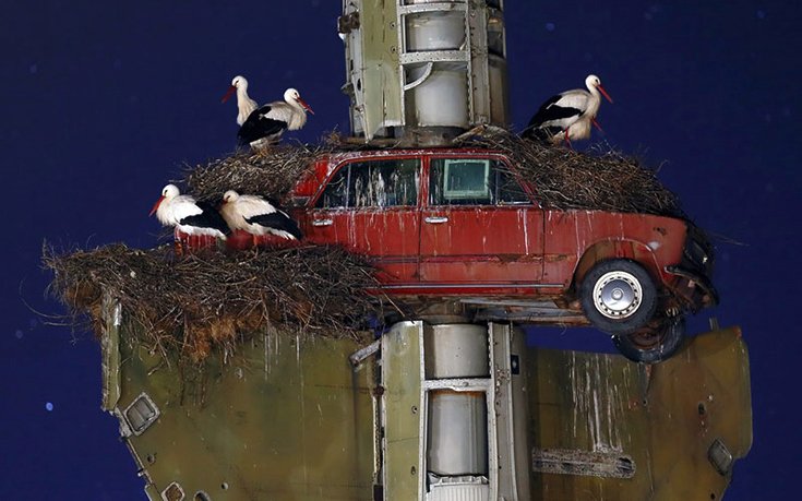 Το φευγαλέο μεγαλείο της Φύσης – Οι φιναλίστ του διαγωνισμού φωτογραφίας [εικόνες]  | iefimerida.gr 7