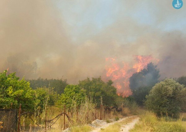 Υπό μερικό έλεγχο η μεγάλη φωτιά στη Ρόδο - Απειλούνταν περιουσίες [εικόνες] | iefimerida.gr 0