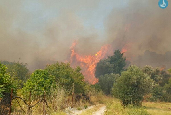 Υπό μερικό έλεγχο η μεγάλη φωτιά στη Ρόδο - Απειλούνταν περιουσίες [εικόνες] | iefimerida.gr 1