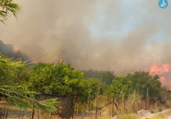 Υπό μερικό έλεγχο η μεγάλη φωτιά στη Ρόδο - Απειλούνταν περιουσίες [εικόνες] | iefimerida.gr 2