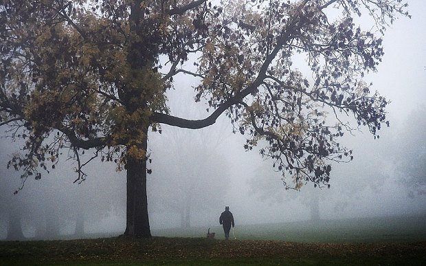 Χάθηκε στην ομίχλη το Λονδίνο -Χάος από τις ακυρώσεις πτήσεων [εικόνες] | iefimerida.gr 6