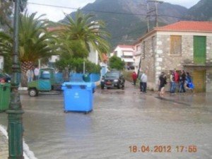 Μίνι-τσουνάμι στην Φωκίδα-Η θάλασσα ξέβρασε στο δρόμο...δελφίνια [εικόνες] | iefimerida.gr 0