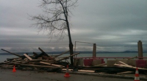 Μίνι-τσουνάμι στην Φωκίδα-Η θάλασσα ξέβρασε στο δρόμο...δελφίνια [εικόνες] | iefimerida.gr 3