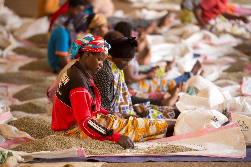 Η TOMS παρέχει καθαρό νερό σε ανθρώπους που το έχουν ανάγκη -Μάθε πώς  μπορείς να βοηθήσεις [εικόνες] | iefimerida.gr 4