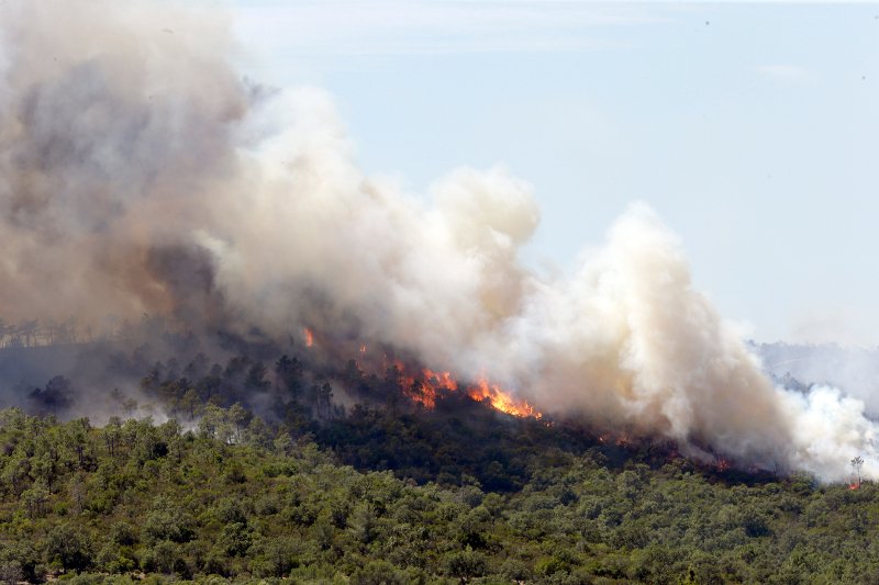 Τουρίστες φεύγουν όπως όπως από τις παραλίες, φλόγες ξεπηδούν από παντού -Tεράστια φωτιά στη Γαλλική Ριβιέρα [εικόνες] | iefimerida.gr 8