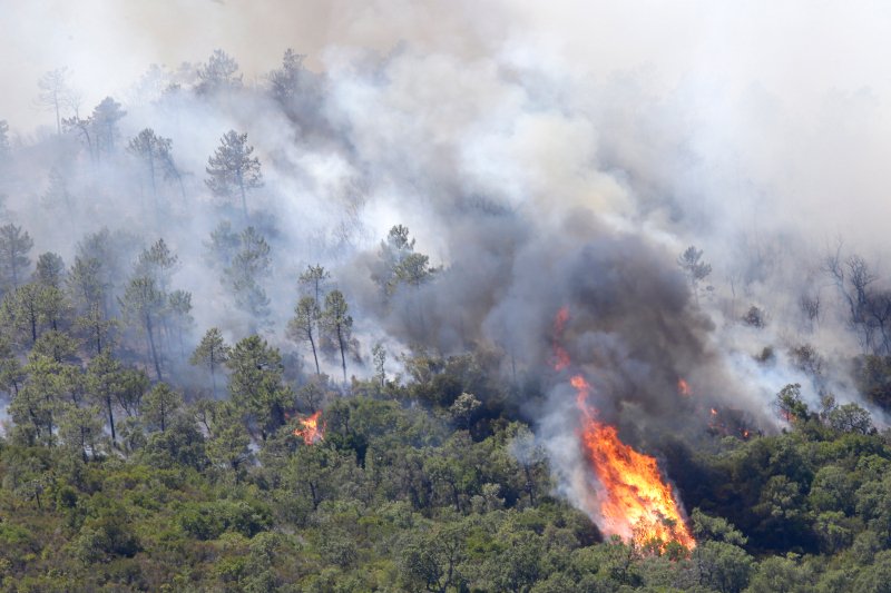 Τουρίστες φεύγουν όπως όπως από τις παραλίες, φλόγες ξεπηδούν από παντού -Tεράστια φωτιά στη Γαλλική Ριβιέρα [εικόνες] | iefimerida.gr 9