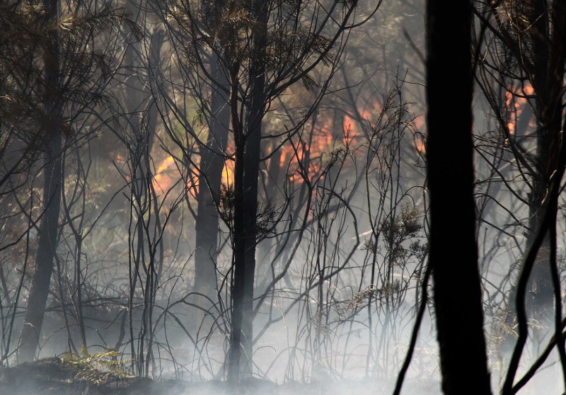 Γαλλία: Πύρινη λαίλαπα αποτεφρώνει δάση στη Ριβιέρα και την Κορσική [βίντεο]  | iefimerida.gr 0