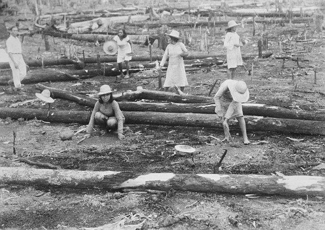 Fordlandia: Η πόλη-φάντασμα που είχε φτιάξει ο Χένρι Φορντ στην καρδιά του Αμαζονίου [εικόνες] | iefimerida.gr 10
