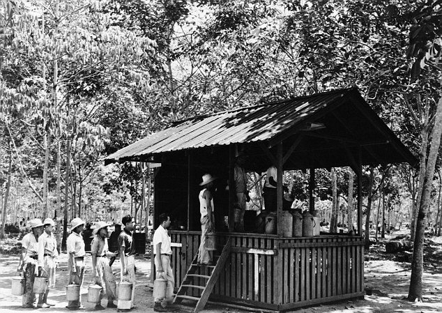 Fordlandia: Η πόλη-φάντασμα που είχε φτιάξει ο Χένρι Φορντ στην καρδιά του Αμαζονίου [εικόνες] | iefimerida.gr 11