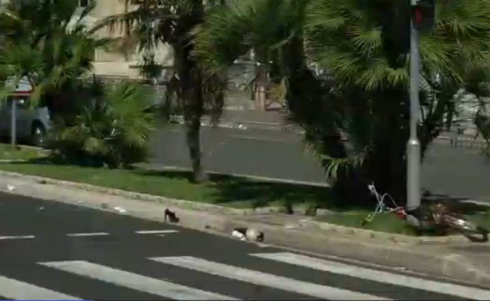 Αυτός είναι ο ήρωας που σταμάτησε το φορτηγό του μακελάρη της Νίκαιας [εικόνες] | iefimerida.gr 0