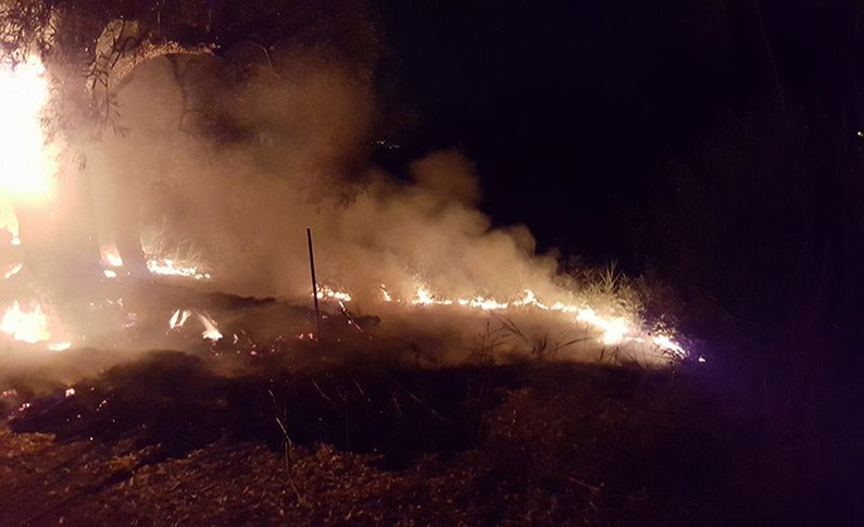 Ζάκυνθος: Σε ύφεση το πύρινο μέτωπο στις Ορθονιές -Συνεχίζεται η επίγεια και εναέρια κατάσβεση | iefimerida.gr 4