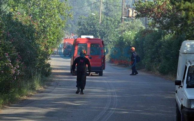 Σε ολονύχτια επιφυλακή η Πυροσβεστική στην Μεσσήνη -Στάχτη έγιναν πάνω από 2.000 στρέμματα γης [εικόνες & βίντεο] | iefimerida.gr 3