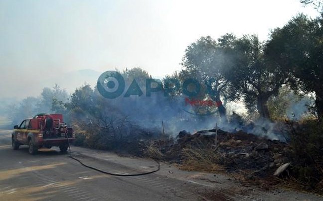 Σε ολονύχτια επιφυλακή η Πυροσβεστική στην Μεσσήνη -Στάχτη έγιναν πάνω από 2.000 στρέμματα γης [εικόνες & βίντεο] | iefimerida.gr 4