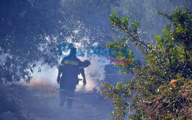 Σε ολονύχτια επιφυλακή η Πυροσβεστική στην Μεσσήνη -Στάχτη έγιναν πάνω από 2.000 στρέμματα γης [εικόνες & βίντεο] | iefimerida.gr 5