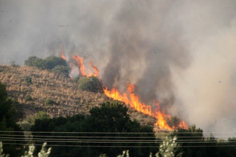 Στις αυλές των σπιτιών η φωτιά στο Αργος - Ολονύκτια μάχη με τις φλόγες  [εικόνες] | iefimerida.gr 1