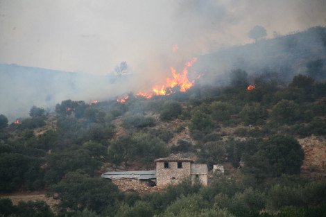 Στις αυλές των σπιτιών η φωτιά στο Αργος - Ολονύκτια μάχη με τις φλόγες  [εικόνες] | iefimerida.gr 3