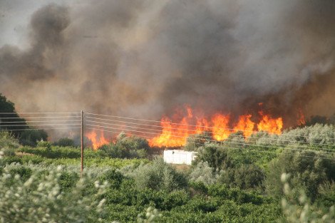 Στις αυλές των σπιτιών η φωτιά στο Αργος - Ολονύκτια μάχη με τις φλόγες  [εικόνες] | iefimerida.gr 4