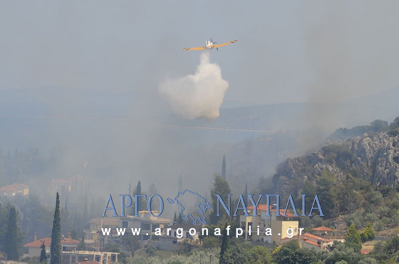 Δύο πυρκαγιές στο Ναύπλιο – Απειλούνται και κατοικίες [εικόνες] | iefimerida.gr 4