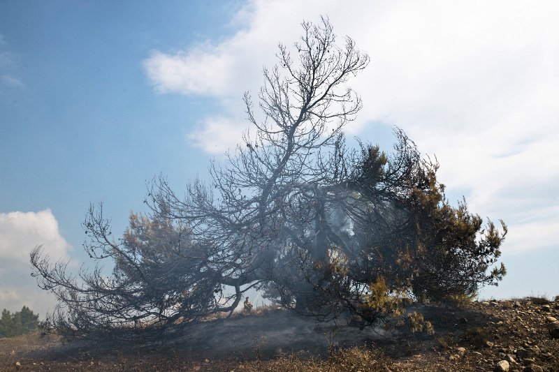 Χωρίς ενεργό μέτωπο η φωτιά στην αν.Αττική -Ολες οι εξελίξεις | iefimerida.gr 11