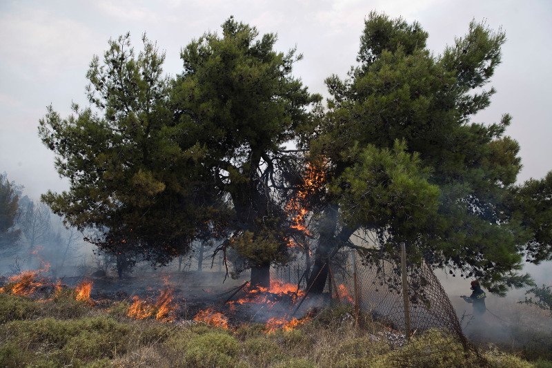 Χωρίς ενεργό μέτωπο η φωτιά στην αν.Αττική -Ολες οι εξελίξεις | iefimerida.gr 9