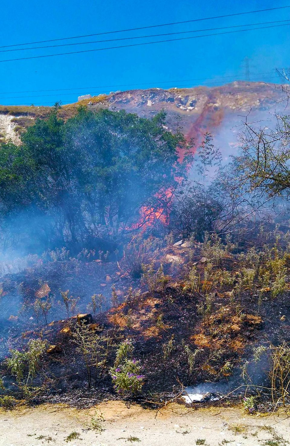 Υπό έλεγχο η μεγάλη φωτιά στην Καβάλα -Απείλησε κατοικημένη περιοχή [εικόνες] | iefimerida.gr 2