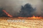 Yπο μερικό έλεγχο η φωτιά στο Μεγάλο Κεφαλόβρυσο Τρικάλων [εικόνες & βίντεο] | iefimerida.gr 5