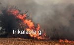 Yπο μερικό έλεγχο η φωτιά στο Μεγάλο Κεφαλόβρυσο Τρικάλων [εικόνες & βίντεο] | iefimerida.gr 6