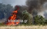 Yπο μερικό έλεγχο η φωτιά στο Μεγάλο Κεφαλόβρυσο Τρικάλων [εικόνες & βίντεο] | iefimerida.gr 0
