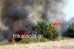 Yπο μερικό έλεγχο η φωτιά στο Μεγάλο Κεφαλόβρυσο Τρικάλων [εικόνες & βίντεο] | iefimerida.gr 3