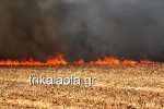 Yπο μερικό έλεγχο η φωτιά στο Μεγάλο Κεφαλόβρυσο Τρικάλων [εικόνες & βίντεο] | iefimerida.gr 4