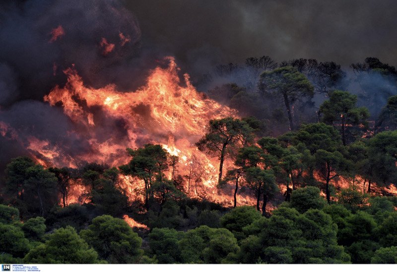 Καίει ακόμη αλλά δεν απειλεί οικισμό η φωτιά στο Ρυτό -Καθηλωμένα τα καναντέρ, λόγω συννεφιάς [εικόνες] | iefimerida.gr 0
