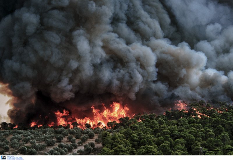 Καίει ακόμη αλλά δεν απειλεί οικισμό η φωτιά στο Ρυτό -Καθηλωμένα τα καναντέρ, λόγω συννεφιάς [εικόνες] | iefimerida.gr 4