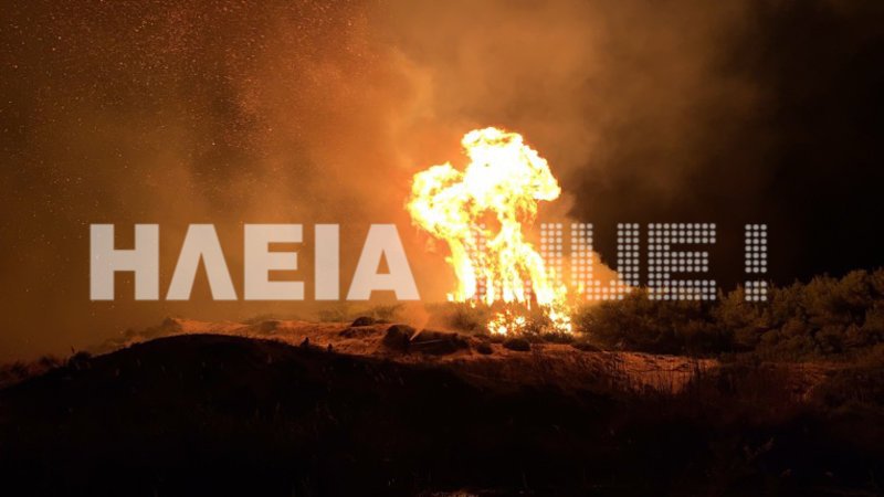 Στιγμιότυπο από τη φωτιά στο δάσος της Στροφυλιάς