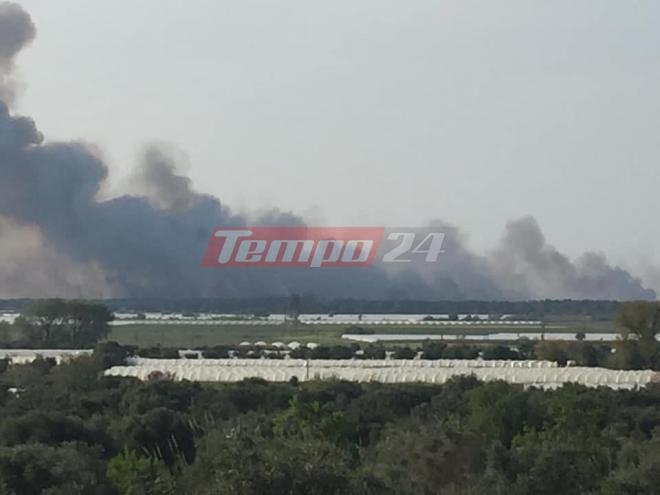 Η φωτιά ξέσπασε νωρίς το απόγευμα της Τρίτης