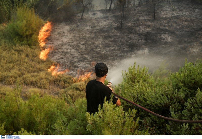 Τεράστιο πύρινο μέτωπο σε Βαρνάβα-Καπανδρίτι-Κάλαμο -Συνεχείς αναζωπυρώσεις | iefimerida.gr 3