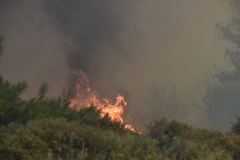Τεράστιο πύρινο μέτωπο σε Βαρνάβα-Καπανδρίτι-Κάλαμο -Συνεχείς αναζωπυρώσεις | iefimerida.gr 4